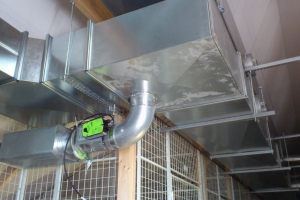 thumbs thumbnail (4)